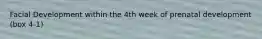 Facial Development within the 4th week of prenatal development (box 4-1)