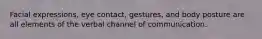 Facial expressions, eye contact, gestures, and body posture are all elements of the verbal channel of communication.