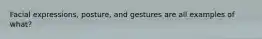Facial expressions, posture, and gestures are all examples of what?