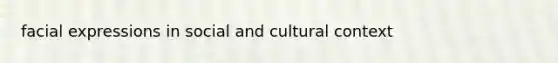 facial expressions in social and cultural context