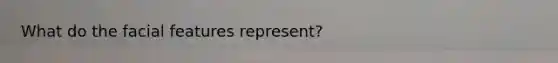 What do the facial features represent?