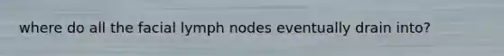 where do all the facial lymph nodes eventually drain into?