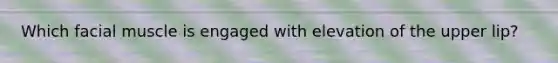 Which facial muscle is engaged with elevation of the upper lip?
