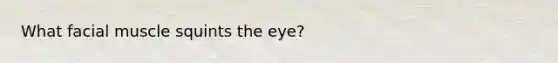 What facial muscle squints the eye?