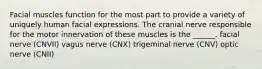 Facial muscles function for the most part to provide a variety of uniquely human facial expressions. The cranial nerve responsible for the motor innervation of these muscles is the ______. facial nerve (CNVII) vagus nerve (CNX) trigeminal nerve (CNV) optic nerve (CNII)