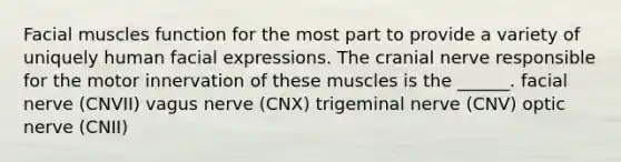 Facial muscles function for the most part to provide a variety of uniquely human facial expressions. The cranial nerve responsible for the motor innervation of these muscles is the ______. facial nerve (CNVII) vagus nerve (CNX) trigeminal nerve (CNV) optic nerve (CNII)