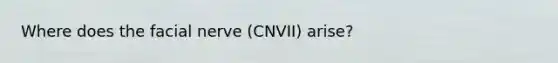 Where does the facial nerve (CNVII) arise?