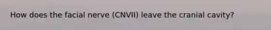 How does the facial nerve (CNVII) leave the cranial cavity?