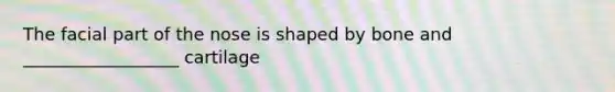 The facial part of the nose is shaped by bone and __________________ cartilage