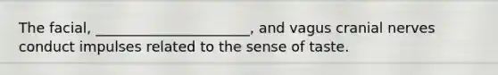 The facial, ______________________, and vagus cranial nerves conduct impulses related to the sense of taste.