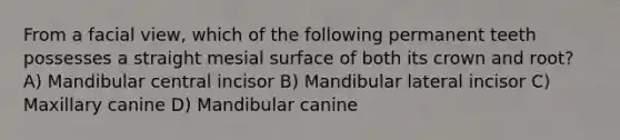 From a facial view, which of the following permanent teeth possesses a straight mesial surface of both its crown and root? A) Mandibular central incisor B) Mandibular lateral incisor C) Maxillary canine D) Mandibular canine