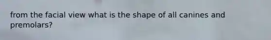 from the facial view what is the shape of all canines and premolars?