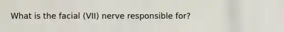 What is the facial (VII) nerve responsible for?