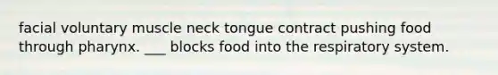 facial voluntary muscle neck tongue contract pushing food through pharynx. ___ blocks food into the respiratory system.