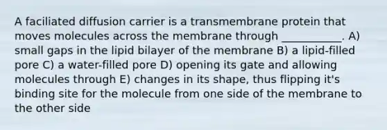 A faciliated diffusion carrier is a transmembrane protein that moves molecules across the membrane through ___________. A) small gaps in the lipid bilayer of the membrane B) a lipid-filled pore C) a water-filled pore D) opening its gate and allowing molecules through E) changes in its shape, thus flipping it's binding site for the molecule from one side of the membrane to the other side