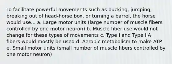 To facilitate powerful movements such as bucking, jumping, breaking out of head-horse box, or turning a barrel, the horse would use... a. Large motor units (large number of muscle fibers controlled by one motor neuron) b. Muscle fiber use would not change for these types of movements c. Type I and Type IIA fibers would mostly be used d. Aerobic metabolism to make ATP e. Small motor units (small number of muscle fibers controlled by one motor neuron)