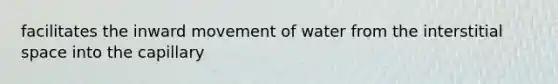 facilitates the inward movement of water from the interstitial space into the capillary