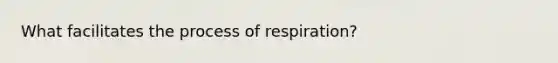 What facilitates the process of respiration?