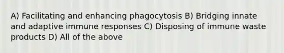 A) Facilitating and enhancing phagocytosis B) Bridging innate and adaptive immune responses C) Disposing of immune waste products D) All of the above