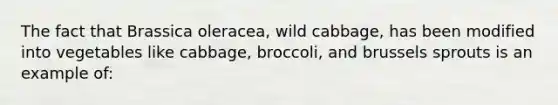 The fact that Brassica oleracea, wild cabbage, has been modified into vegetables like cabbage, broccoli, and brussels sprouts is an example of: