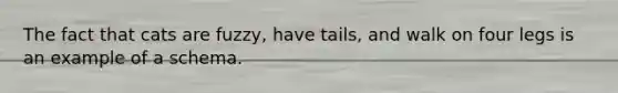 The fact that cats are fuzzy, have tails, and walk on four legs is an example of a schema.