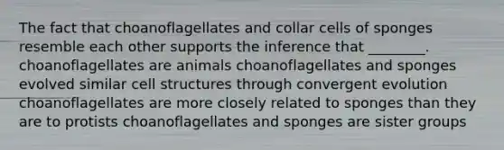 The fact that choanoflagellates and collar cells of sponges resemble each other supports the inference that ________. choanoflagellates are animals choanoflagellates and sponges evolved similar cell structures through convergent evolution choanoflagellates are more closely related to sponges than they are to protists choanoflagellates and sponges are sister groups