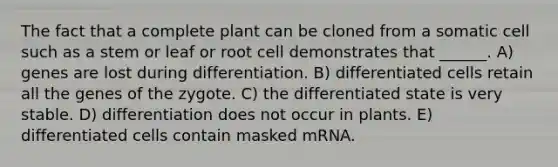 The fact that a complete plant can be cloned from a somatic cell such as a stem or leaf or root cell demonstrates that ______. A) genes are lost during differentiation. B) differentiated cells retain all the genes of the zygote. C) the differentiated state is very stable. D) differentiation does not occur in plants. E) differentiated cells contain masked mRNA.