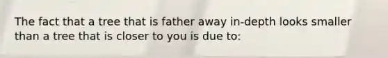 The fact that a tree that is father away in-depth looks smaller than a tree that is closer to you is due to: