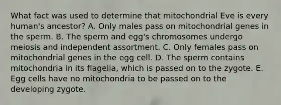 What fact was used to determine that mitochondrial Eve is every human's ancestor? A. Only males pass on mitochondrial genes in the sperm. B. The sperm and egg's chromosomes undergo meiosis and independent assortment. C. Only females pass on mitochondrial genes in the egg cell. D. The sperm contains mitochondria in its flagella, which is passed on to the zygote. E. Egg cells have no mitochondria to be passed on to the developing zygote.