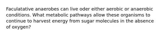 Faculatative anaerobes can live oder either aerobic or anaerobic conditions. What metabolic pathways allow these organisms to continue to harvest energy from sugar molecules in the absence of oxygen?