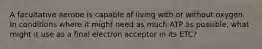 A facultative aerobe is capable of living with or without oxygen. In conditions where it might need as much ATP as possible, what might it use as a final electron acceptor in its ETC?