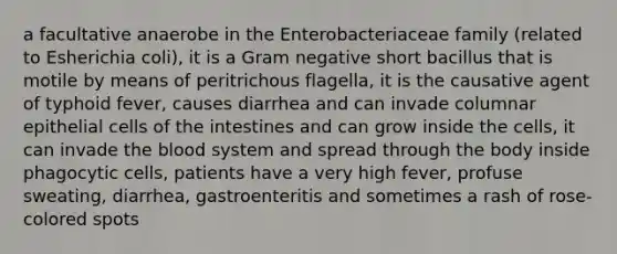 a facultative anaerobe in the Enterobacteriaceae family (related to Esherichia coli), it is a Gram negative short bacillus that is motile by means of peritrichous flagella, it is the causative agent of typhoid fever, causes diarrhea and can invade columnar epithelial cells of the intestines and can grow inside the cells, it can invade the blood system and spread through the body inside phagocytic cells, patients have a very high fever, profuse sweating, diarrhea, gastroenteritis and sometimes a rash of rose-colored spots