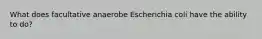 What does facultative anaerobe Escherichia coli have the ability to do?