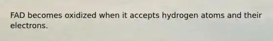 FAD becomes oxidized when it accepts hydrogen atoms and their electrons.
