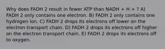 Why does FADH 2 result in fewer ATP than NADH + H + ? A) FADH 2 only contains one electron. B) FADH 2 only contains one hydrogen ion. C) FADH 2 drops its electrons off lower on the electron transport chain. D) FADH 2 drops its electrons off higher on the electron transport chain. E) FADH 2 drops its electrons off to oxygen.