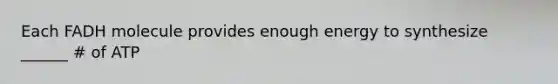 Each FADH molecule provides enough energy to synthesize ______ # of ATP