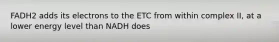 FADH2 adds its electrons to the ETC from within complex II, at a lower energy level than NADH does