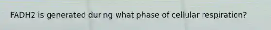 FADH2 is generated during what phase of cellular respiration?