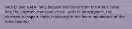 FADH2 and NADH only deposit electrons from the Krebs cycle into the electron transport chain. AND In prokaryotes, the electron transport chain is located in the inner membrane of the mitochondria.