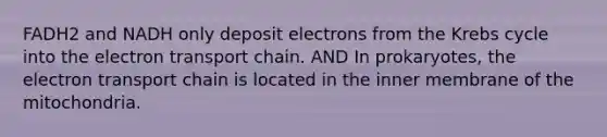 FADH2 and NADH only deposit electrons from the Krebs cycle into the electron transport chain. AND In prokaryotes, the electron transport chain is located in the inner membrane of the mitochondria.