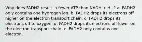 Why does FADH2 result in fewer ATP than NADH + H+? a. FADH2 only contains one hydrogen ion. b. FADH2 drops its electrons off higher on the electron transport chain. c. FADH2 drops its electrons off to oxygen. d. FADH2 drops its electrons off lower on the electron transport chain. e. FADH2 only contains one electron.