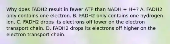 Why does FADH2 result in fewer ATP than NADH + H+? A. FADH2 only contains one electron. B. FADH2 only contains one hydrogen ion. C. FADH2 drops its electrons off lower on the electron transport chain. D. FADH2 drops its electrons off higher on the electron transport chain.