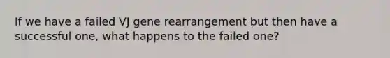 If we have a failed VJ gene rearrangement but then have a successful one, what happens to the failed one?