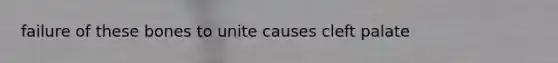 failure of these bones to unite causes cleft palate