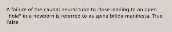 A failure of the caudal neural tube to close leading to an open "hole" in a newborn is referred to as spina bifida manifesta. True False