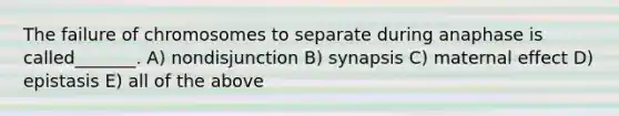 The failure of chromosomes to separate during anaphase is called_______. A) nondisjunction B) synapsis C) maternal effect D) epistasis E) all of the above