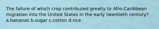 The failure of which crop contributed greatly to Afro-Caribbean migration into the United States in the early twentieth century? a.bananas b.sugar c.cotton d.rice