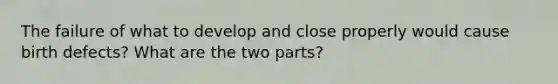 The failure of what to develop and close properly would cause birth defects? What are the two parts?