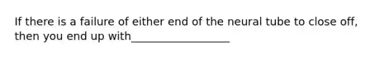 If there is a failure of either end of the neural tube to close off, then you end up with__________________