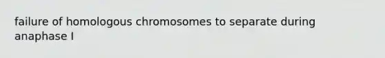 failure of homologous chromosomes to separate during anaphase I